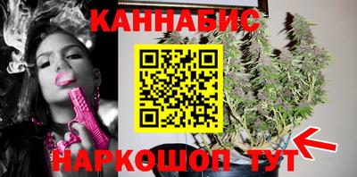 сатива Коммунар