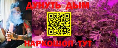 сатива Коммунар